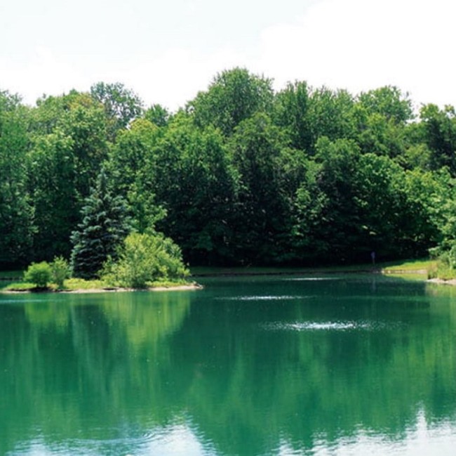 SUNSUN Аэратор для пруда ACO 016 мощный поршневой компрессор Производительность 450 литров в минуту