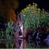 Подсветка ProfiLux Garden LED RGB