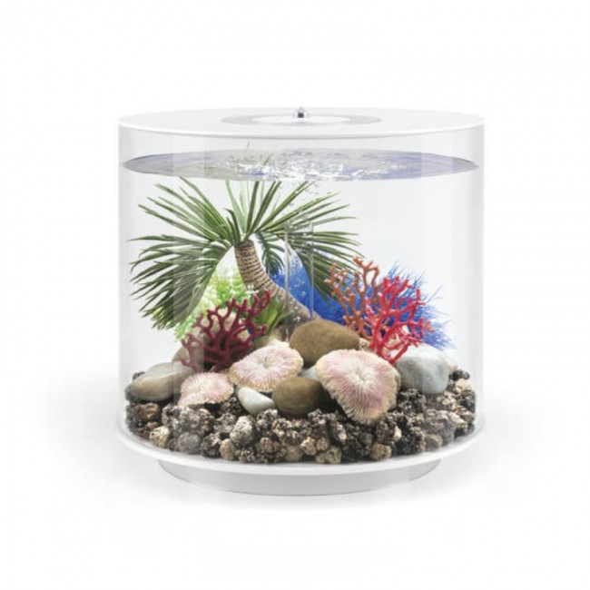 Набор пластиновых корал, Plate coral set (72675) Набор пластиновых корал, Plate coral set (72675)