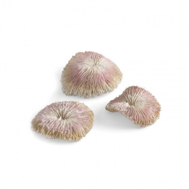 Набор пластиновых корал, Plate coral set (72675) Набор пластиновых корал, Plate coral set (72675)