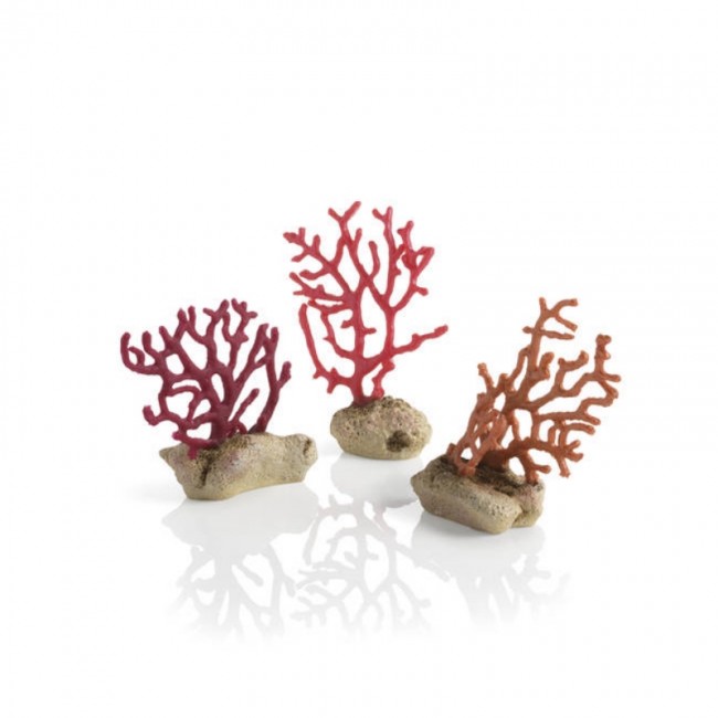 Набор из трех морских коралов, Sea whips set Набор из трех морских коралов, Sea whips set