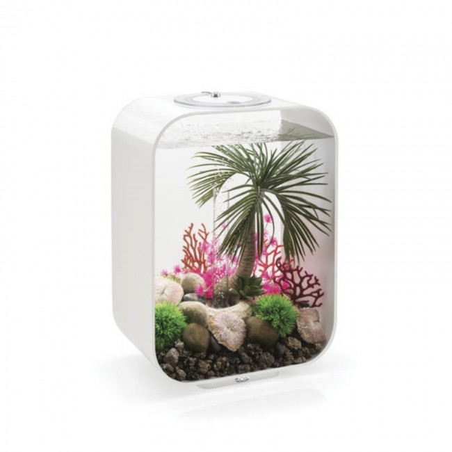 Набор из трех морских коралов, Sea whips set Набор из трех морских коралов, Sea whips set