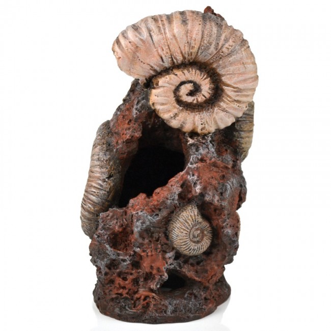 Декоративная фигура "Старая раковина", Ornament ancient conch