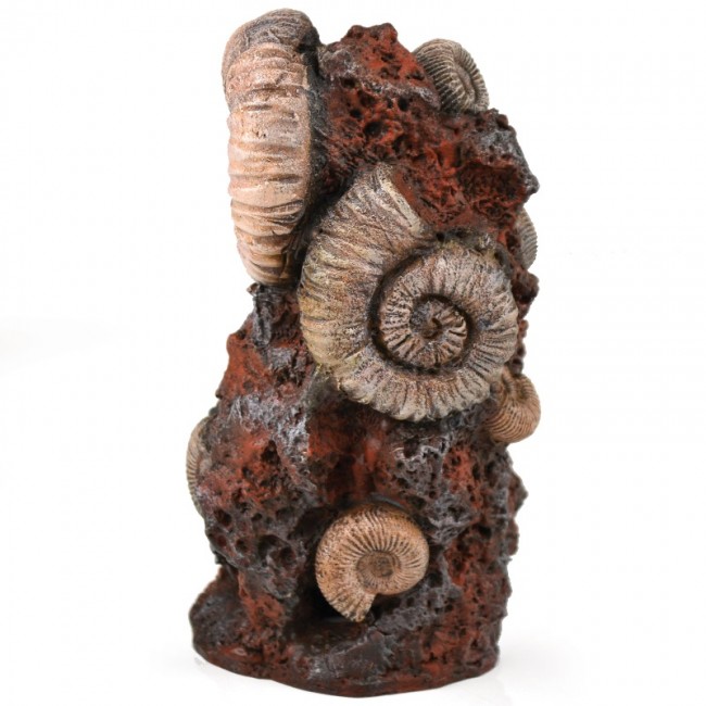 Декоративная фигура "Старая раковина", Ornament ancient conch