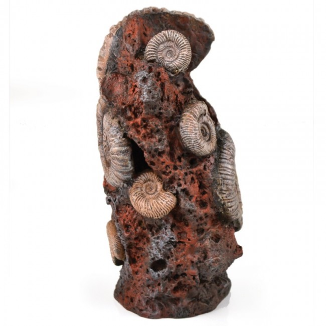 Декоративная фигура "Старая раковина", Ornament ancient conch