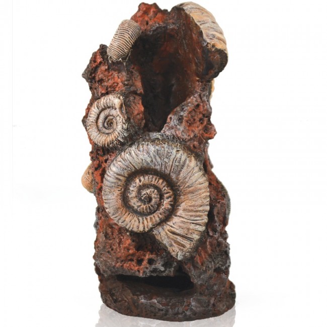 Декоративная фигура "Старая раковина", Ornament ancient conch