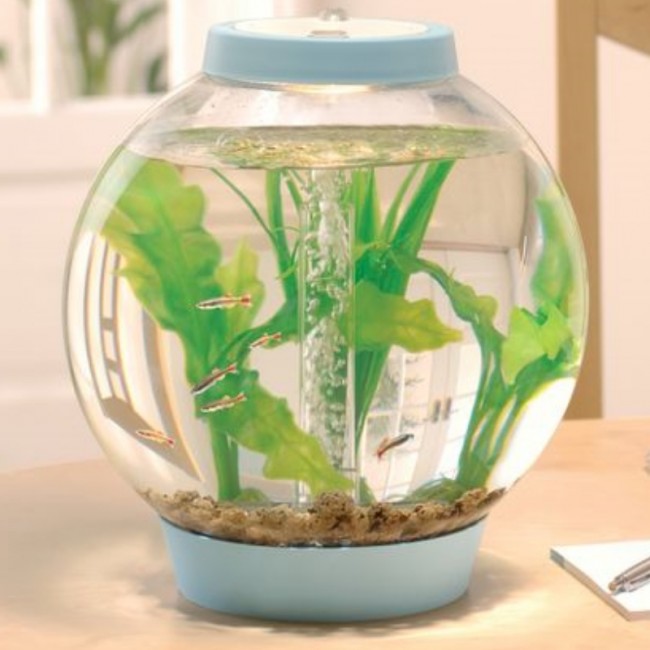 Аквариум biOrb Classic 60 LED Thermo белый