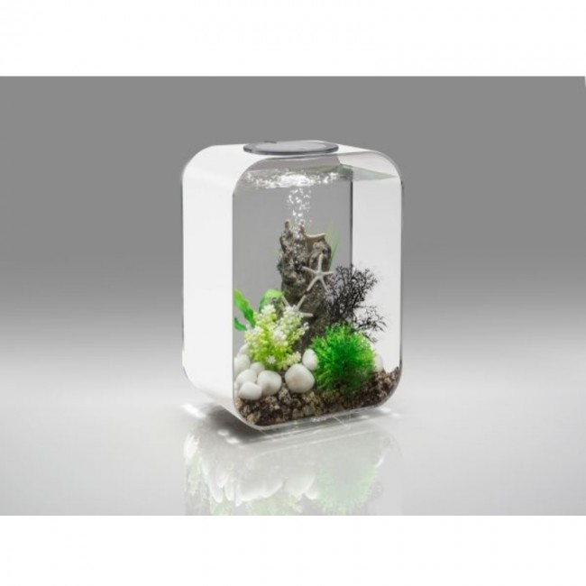 Декоративная фигура "Камень с морскими звездами", Sea star rock ornament Декоративная фигура "Камень с морскими звездами", Sea star rock ornament