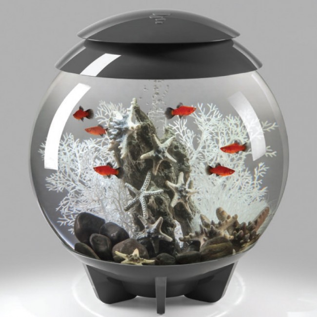 Декоративная фигура "Камень с морскими звездами", Sea star rock ornament Декоративная фигура "Камень с морскими звездами", Sea star rock ornament