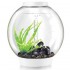 Аквариум biOrb Classic 60 LED белый Аквариум biOrb Classic 60 LED белый
