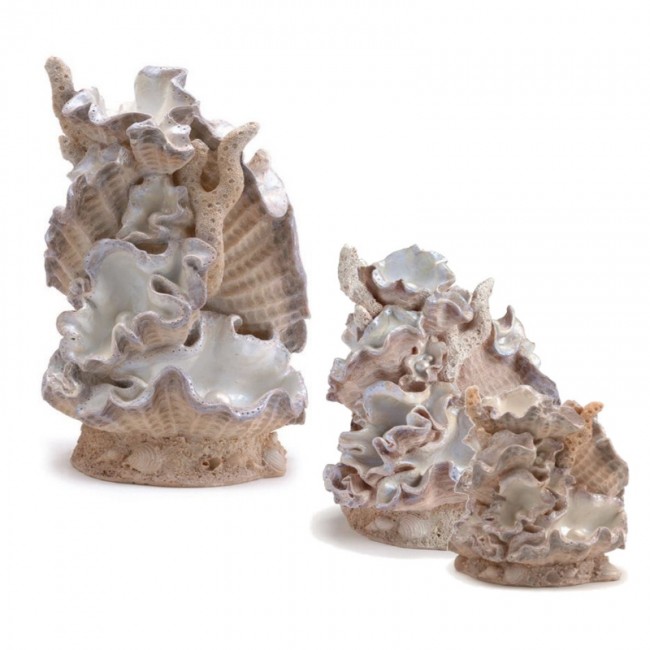 Орнамент из ракушек, большой Clamshell ornament large Орнамент из ракушек, большой Clamshell ornament large