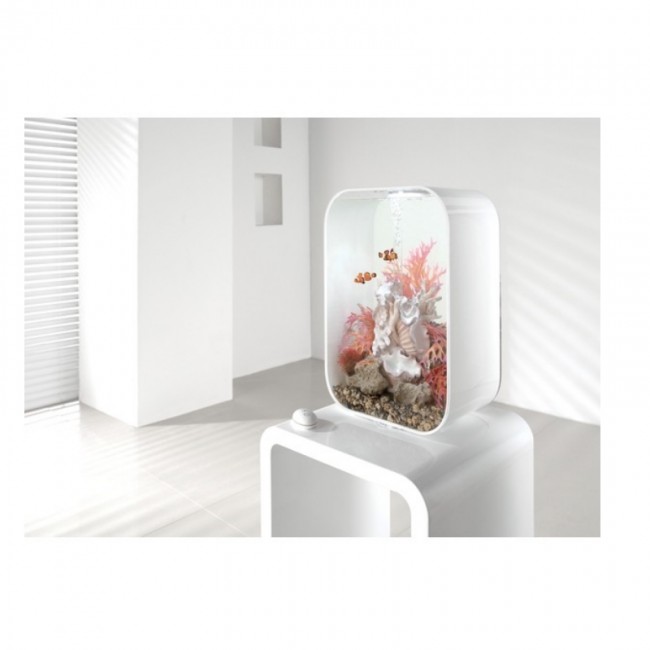 Орнамент из ракушек, большой Clamshell ornament large Орнамент из ракушек, большой Clamshell ornament large