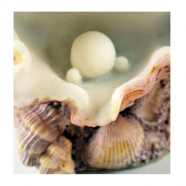 Орнамент из ракушек, большой Clamshell ornament large Орнамент из ракушек, большой Clamshell ornament large