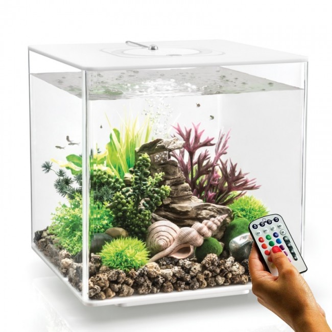 Аквариум biOrb CUBE 60 MCR white белый Аквариум biOrb CUBE 60 MCR white белый