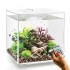 Аквариум biOrb CUBE 60 MCR white белый Аквариум biOrb CUBE 60 MCR white белый