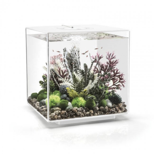 Аквариум biOrb CUBE 60 LED white белый Аквариум biOrb CUBE 60 LED white белый