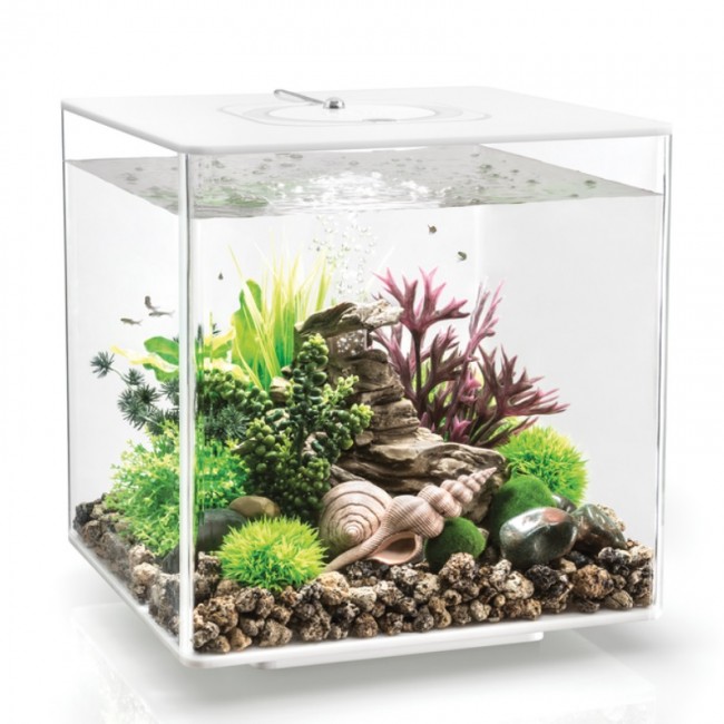 Аквариум biOrb CUBE 60 LED white белый Аквариум biOrb CUBE 60 LED white белый