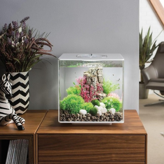 Аквариум biOrb CUBE 60 LED white белый Аквариум biOrb CUBE 60 LED white белый