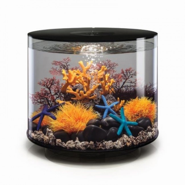 Застывшая лава с огненным коралом, Lava rock with fire coral ornament