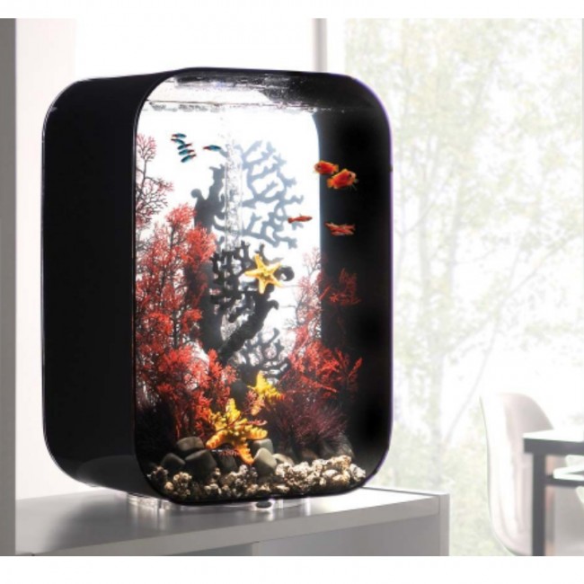 Коралл черный, Fan coral ornament black Коралл черный, Fan coral ornament black