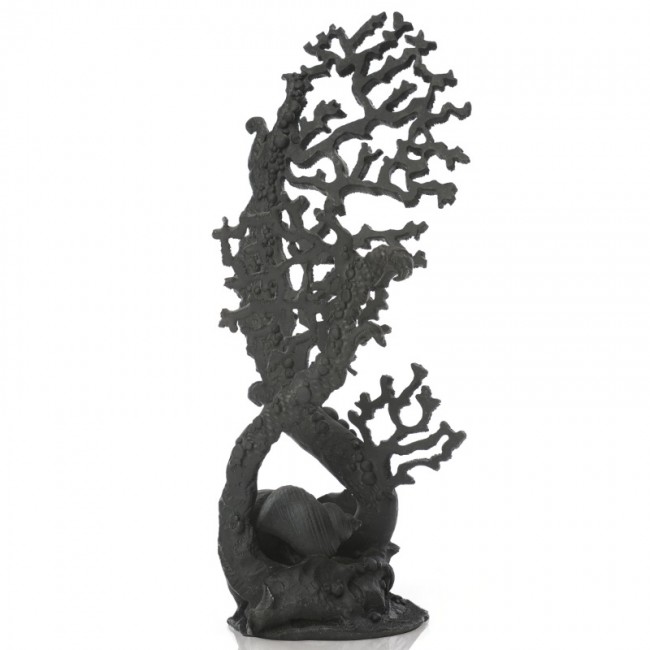 Коралл черный, Fan coral ornament black Коралл черный, Fan coral ornament black