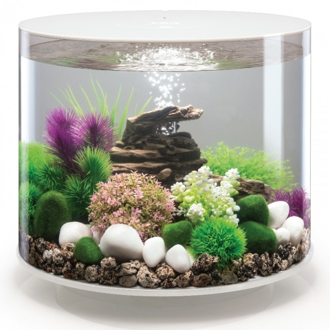 Аквариум biOrb TUBE 35 LED белый Аквариум biOrb TUBE 35 LED белый