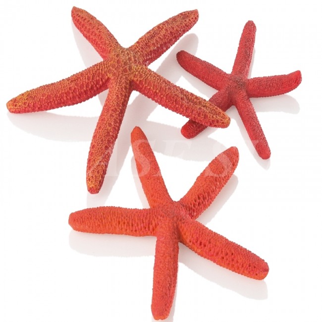 Набор красных морских звезд, Starfish set 3 red Набор красных морских звезд, Starfish set 3 red