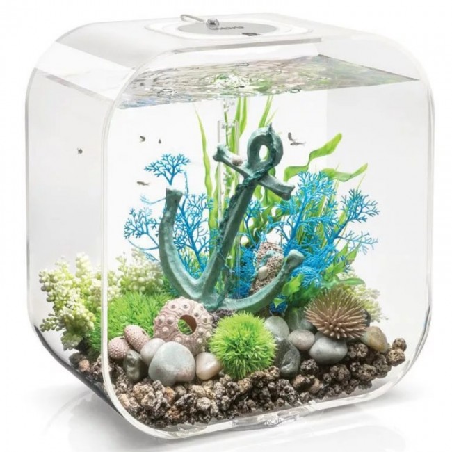 Набор декор. элементов "Морской ёж", бежевый, sea urchins set natural Набор декор. элементов "Морской ёж", бежевый, sea urchins set natural