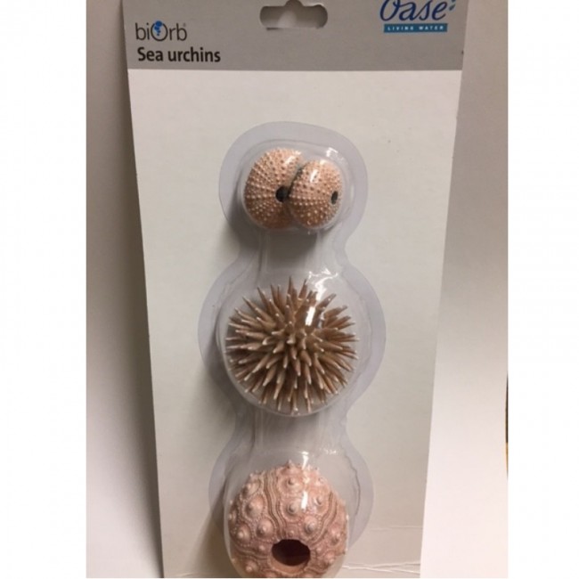 Набор декор. элементов "Морской ёж", бежевый, sea urchins set natural Набор декор. элементов "Морской ёж", бежевый, sea urchins set natural