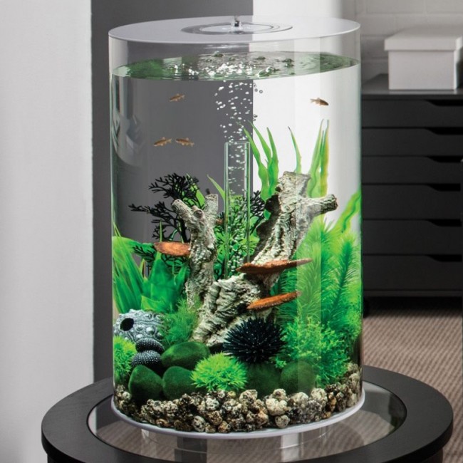 Аквариум biOrb TUBE 30 LED белый Аквариум biOrb TUBE 30 LED белый