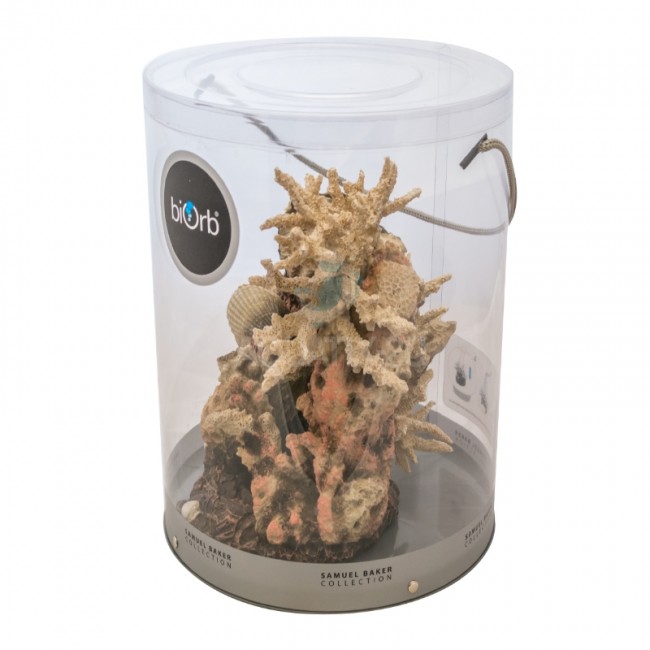 Декоративная фигура "Коралловые ракушки", coral-shells ornament natural