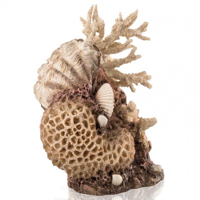 Декоративная фигура "Коралловые ракушки", coral-shells ornament natural
