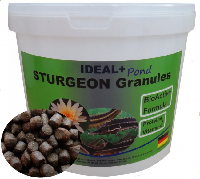IDEAL+ STURGEON Granules IDEAL+ STURGEON Granules