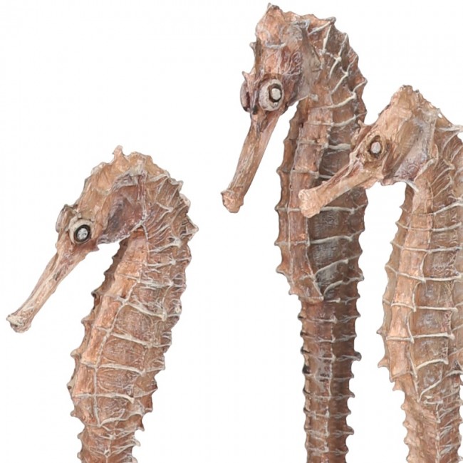Набор из 3-х морских коньков seahorse 3 pack natural