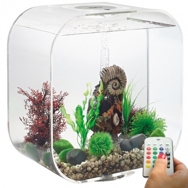 Аквариум biOrb LIFE 30 MCR clear Аквариум biOrb LIFE 30 MCR clear