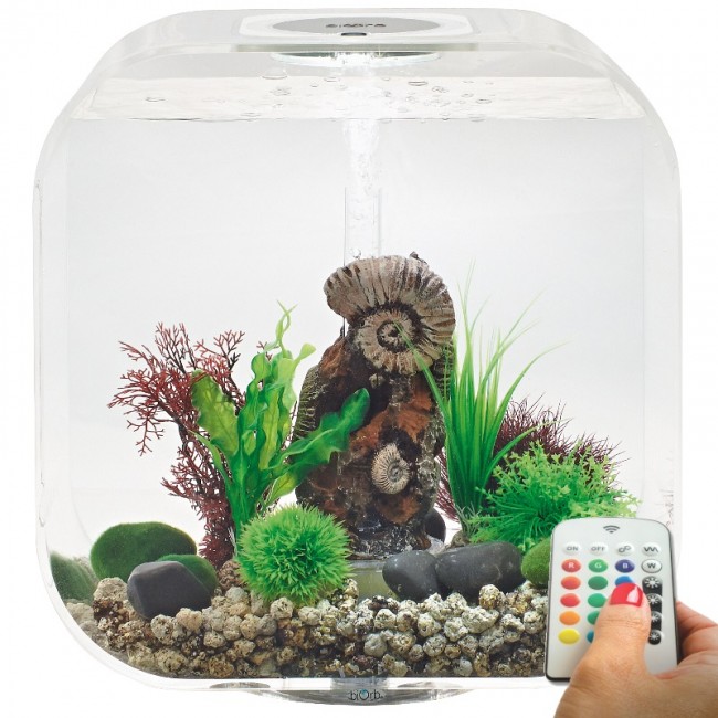 Аквариум biOrb LIFE 30 MCR clear Аквариум biOrb LIFE 30 MCR clear