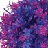 Фиолетовый цветочный шар, Flower ball purple Фиолетовый цветочный шар, Flower ball purple