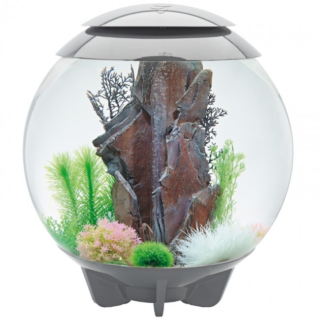 Аквариум biOrb HALO 60 LED grey серый Аквариум biOrb HALO 60 LED grey серый