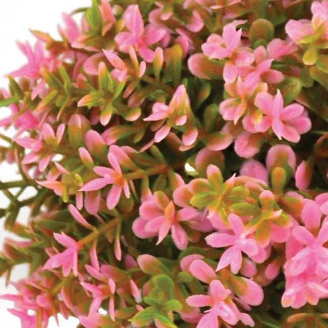 Розовый цветочный шар, Flower ball pink Розовый цветочный шар, Flower ball pink