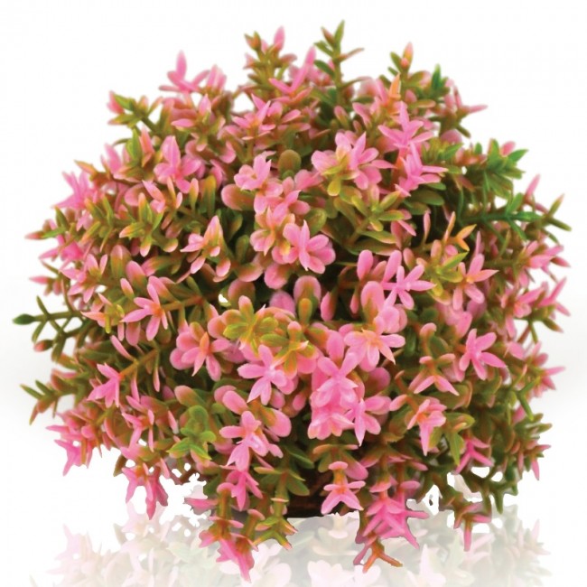 Розовый цветочный шар, Flower ball pink Розовый цветочный шар, Flower ball pink