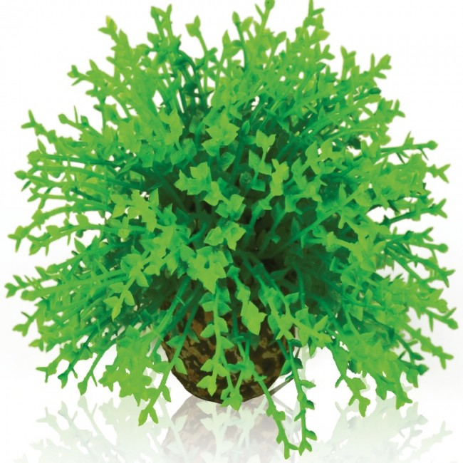 Зеленый цветочный шар, Flower ball green Зеленый цветочный шар, Flower ball green