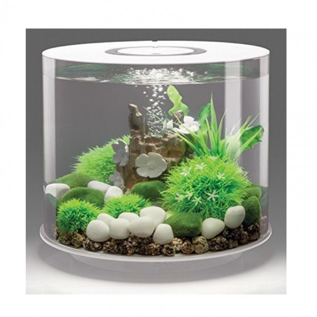 Декоративный шар с ромашками, Topiary ball with daisies