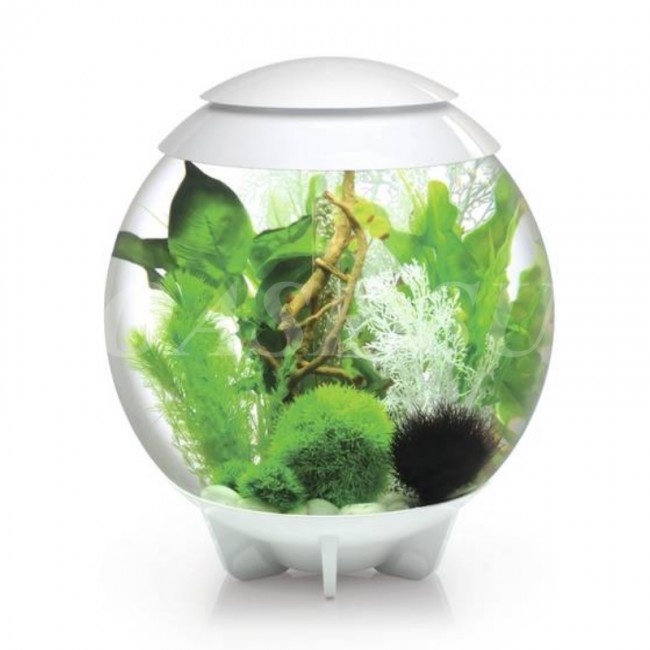 Аквариум biOrb HALO 30 Moonlight белый Аквариум biOrb HALO 30 Moonlight белый