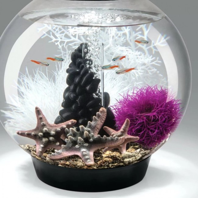 Фиолетовый водный шар, Aquatic colour ball purple