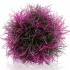 Фиолетовый водный шар, Aquatic colour ball purple
