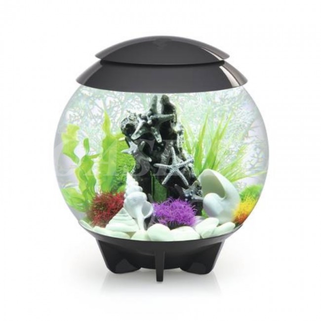 Аквариум biOrb HALO 30 LED серый Аквариум biOrb HALO 30 LED серый