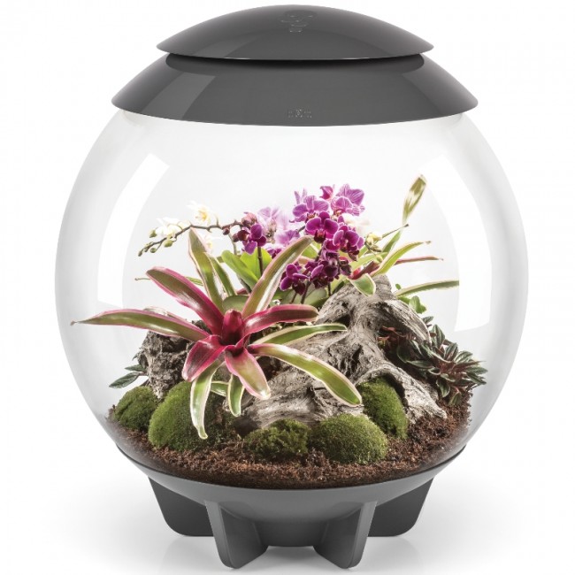 Флорариум biOrb AIR 60 Black черный
