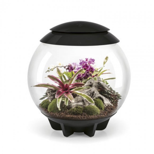 Флорариум biOrb AIR 60 Black черный