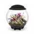Флорариум biOrb AIR 60 Black черный