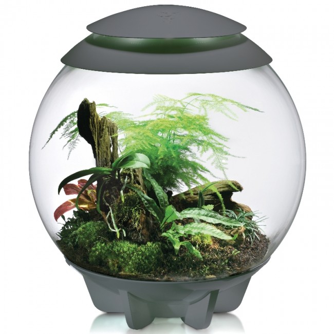 Флорариум biOrb AIR 60 Black черный